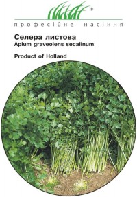 Сельдерей листовой 0,5г - купить семена (Голландские семена)